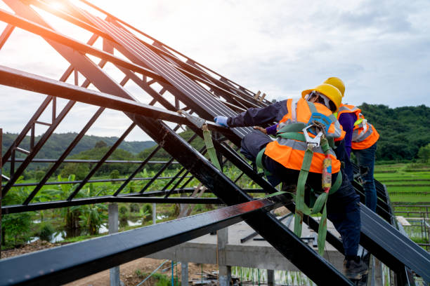 Best Residential Roofing Contractor  in Palmyra, MO