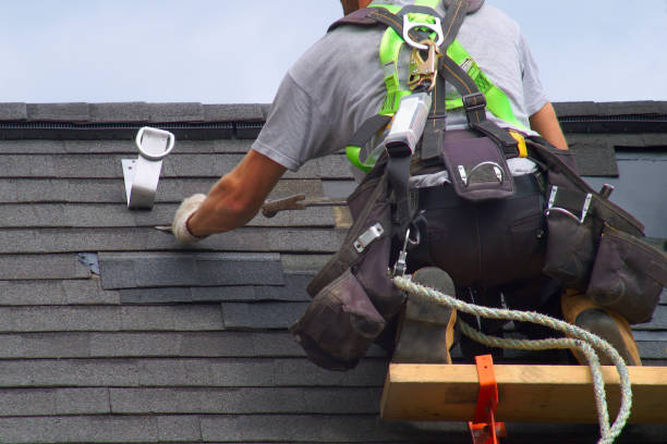 Best Commercial Roofing Services  in Palmyra, MO