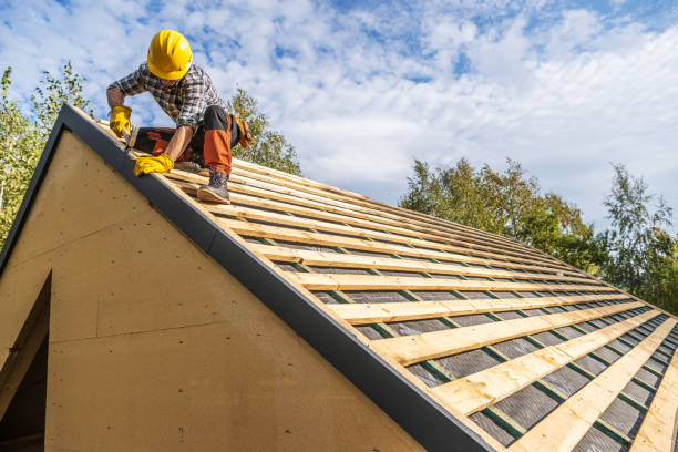 Best Roof Gutter Cleaning  in Palmyra, MO
